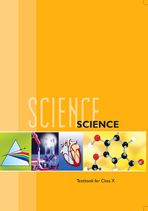 GRADE 10 - SCIENCE